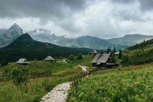 AG九游会老哥分享新玩法：意想不到的体验等你来发现！